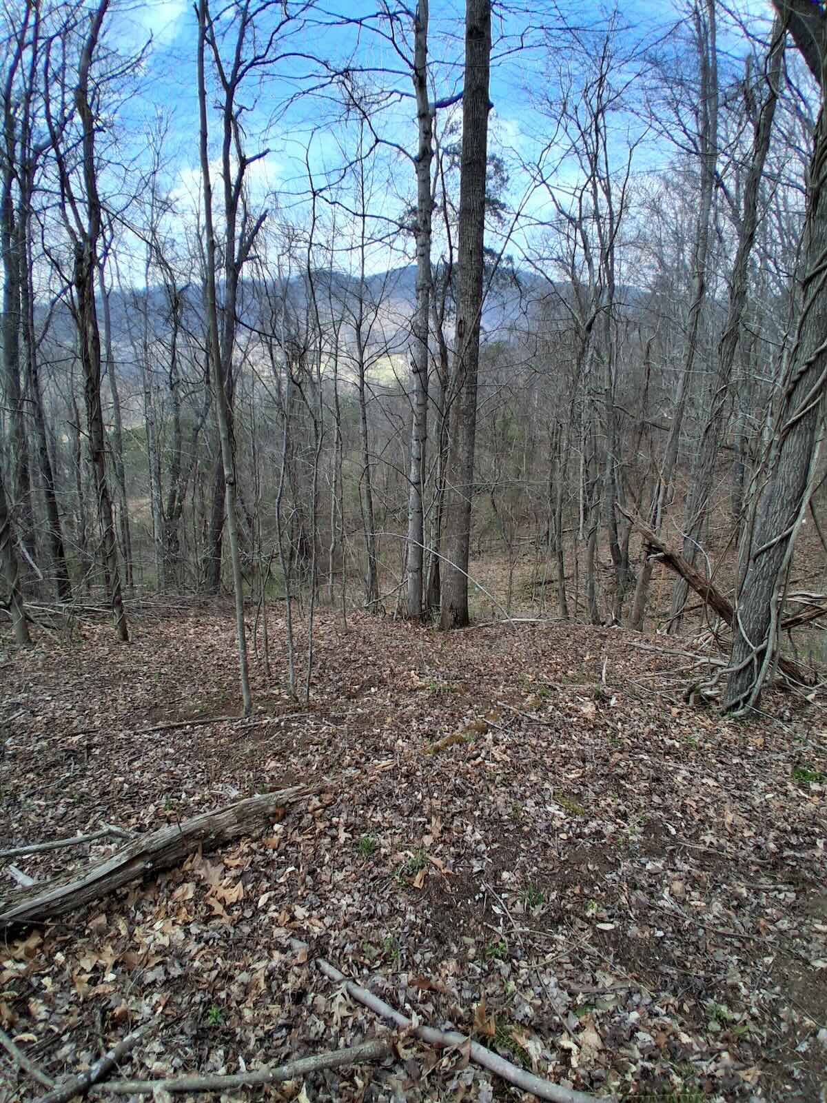 Mountain view from the Canton property